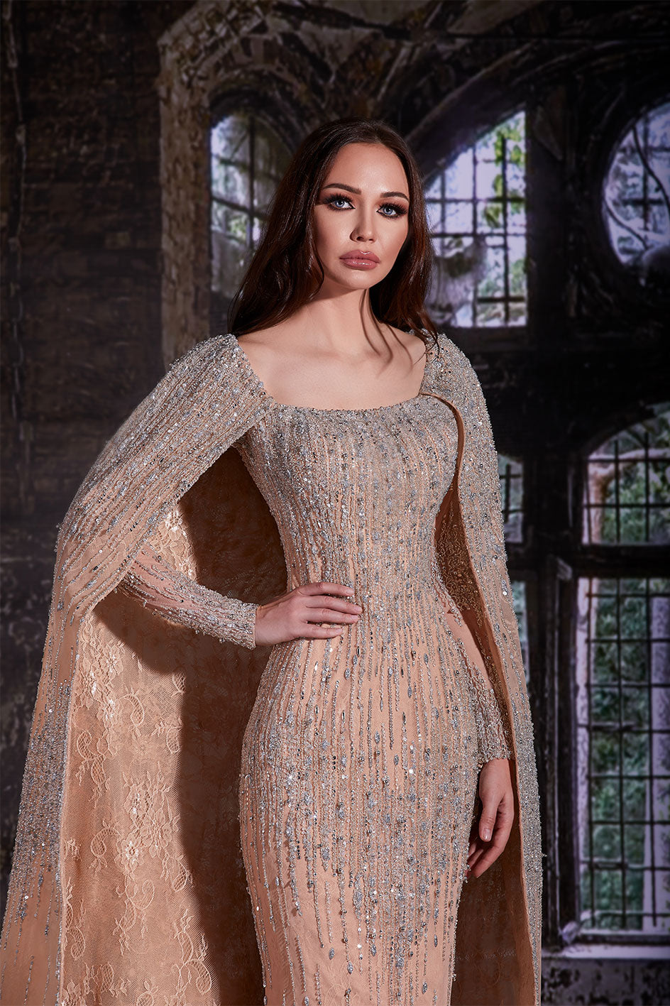Embroidered Slim Fit Dress Attached To A Crystalline Cloak