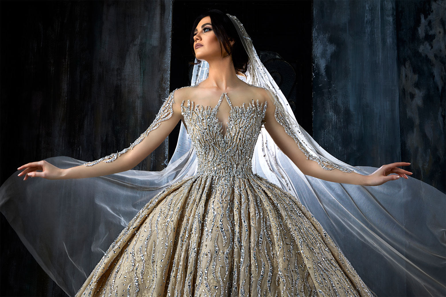 Ball Gown Wedding Dress With An Open U-Shaped Back And Tattooed Upper Body Corset