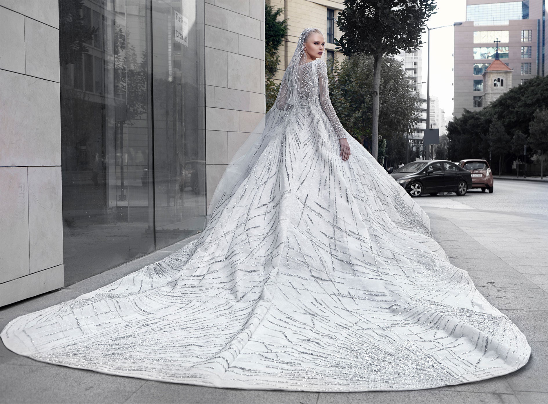 Royal Patterned Bridal Dress