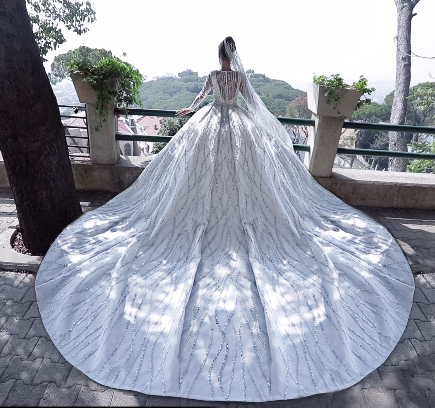 Princess Gown Tailored With A Long Oval Shaped Tale